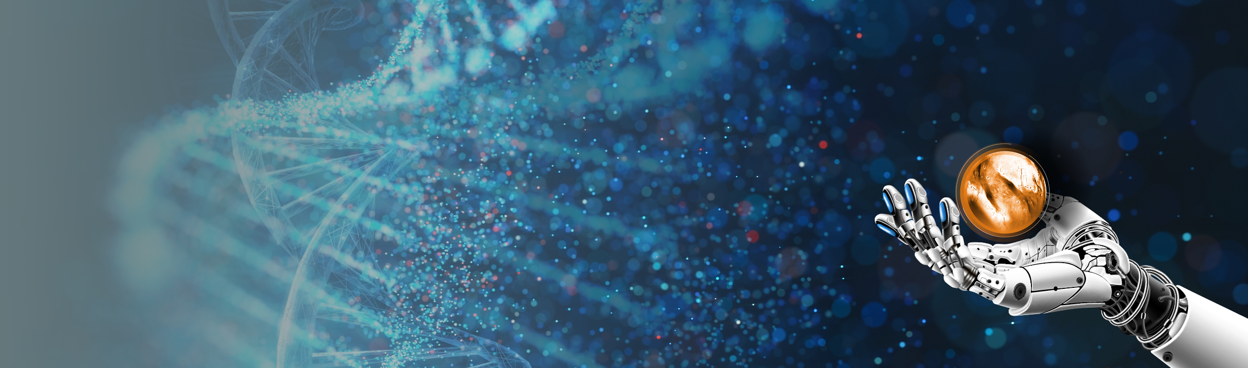 Header Image
