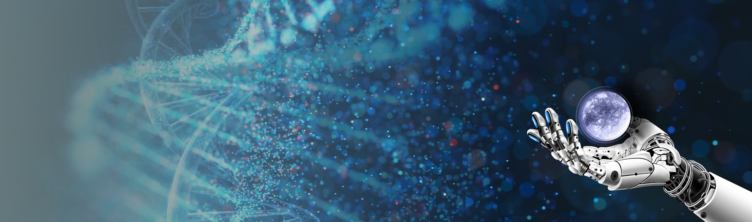 Header Image