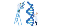 Genome Sequencing Non-Human