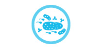 Microbiome & Metagenome