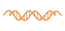 Oligos for Cloning Application