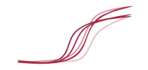 Fragment Length Analysis