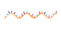 Custom RNA Oligos & Custom siRNA