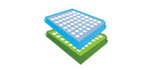 Prepaid Products for Sanger Sequencing